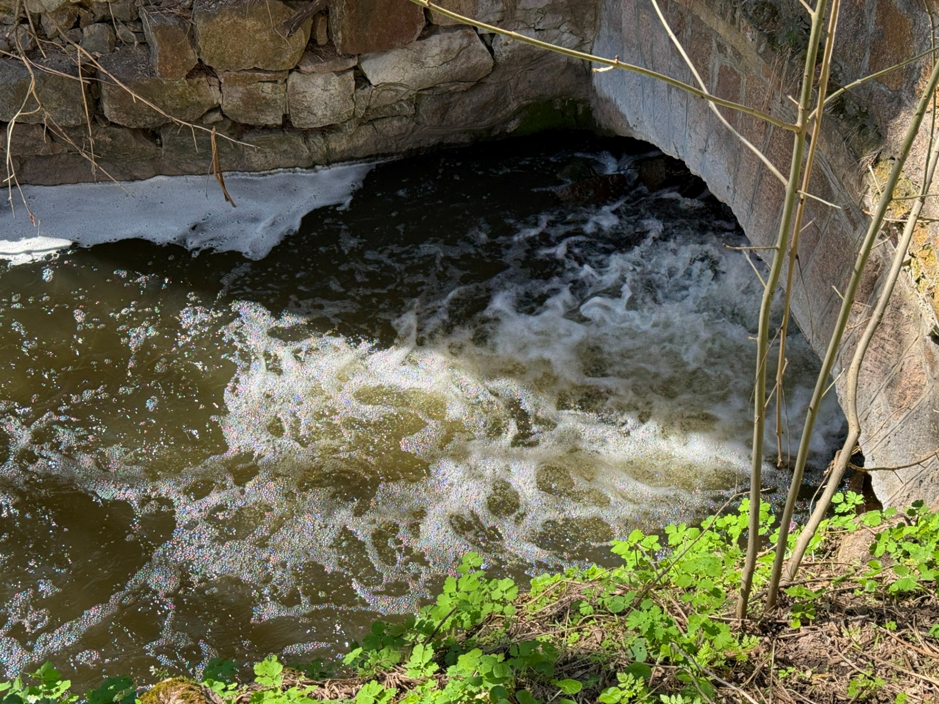 Мальовничі мури старого млина: фотоальбом і відеоекскурс цікавинками Первомайщини