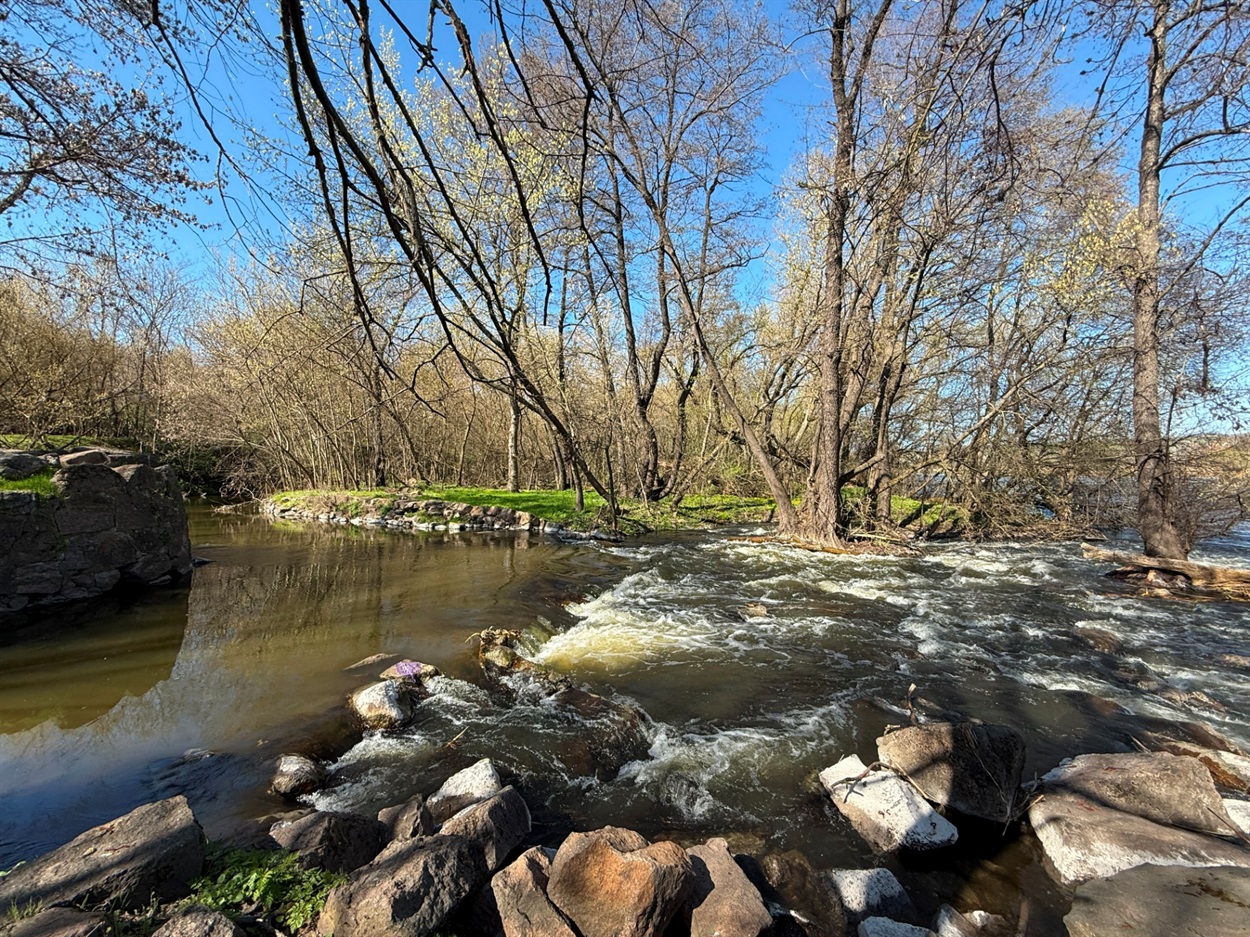 БіляЯ млина