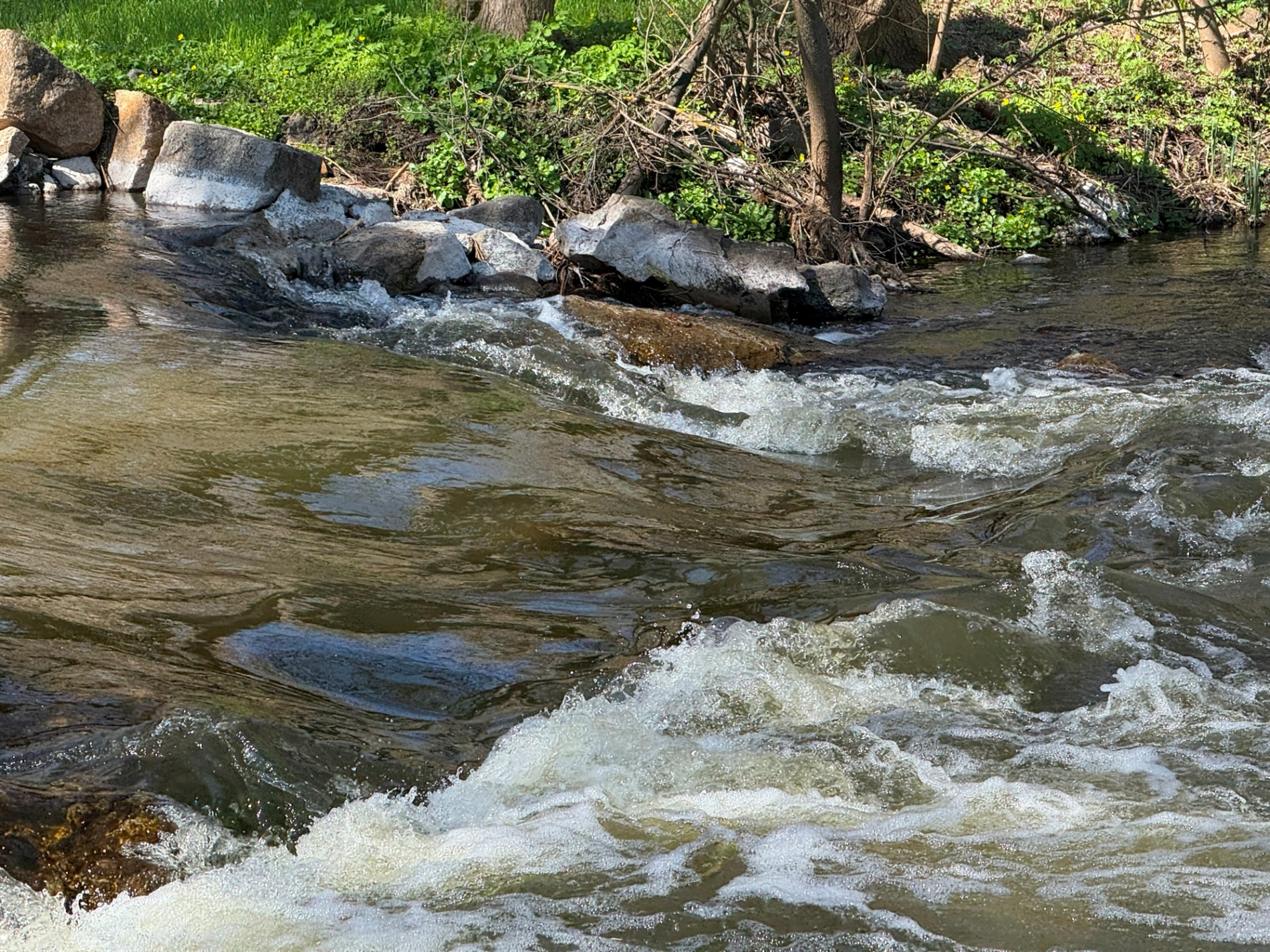 Мальовничі мури старого млина: фотоальбом і відеоекскурс цікавинками Первомайщини