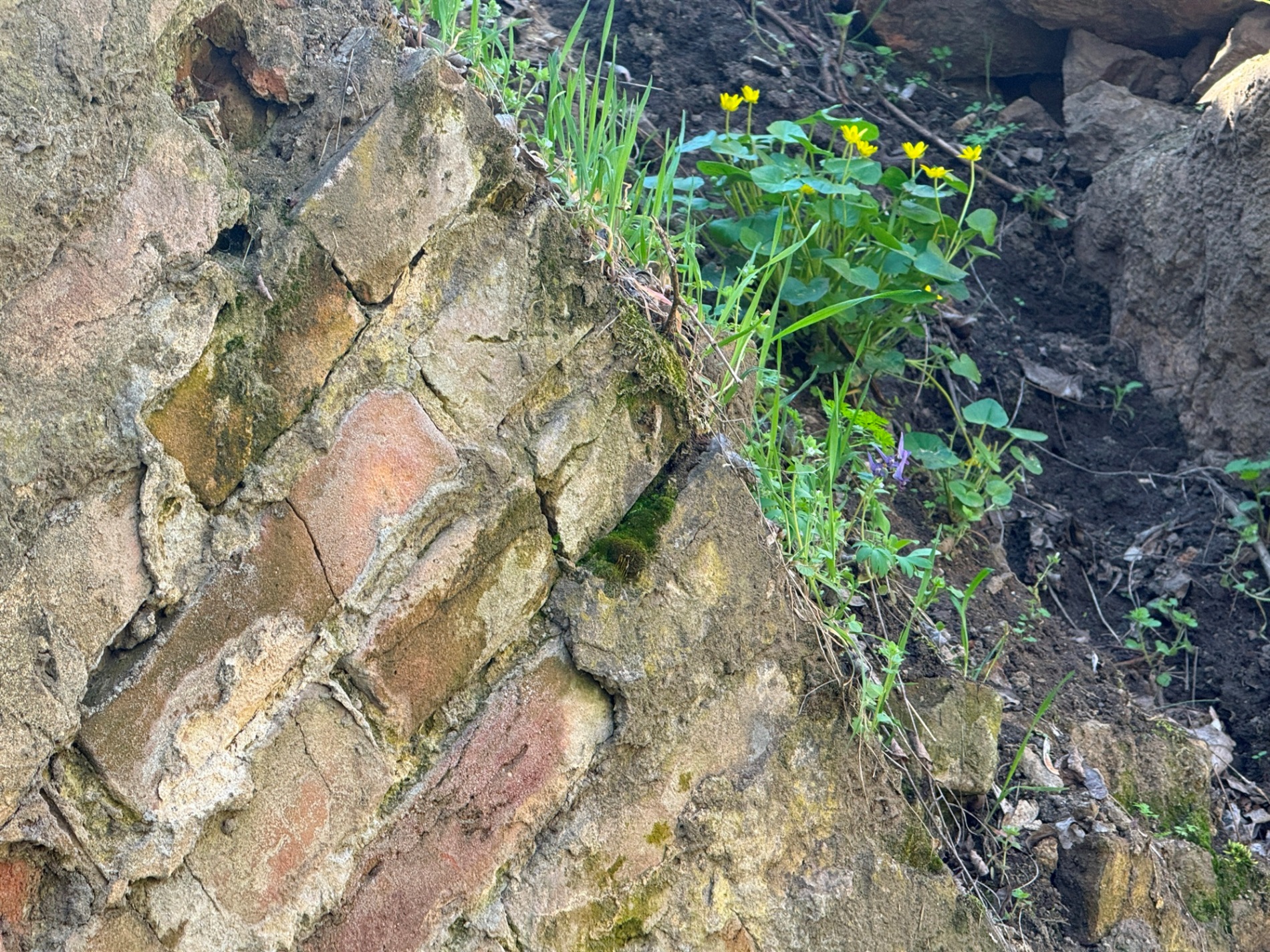 Мальовничі мури старого млина: фотоальбом і відеоекскурс цікавинками Первомайщини