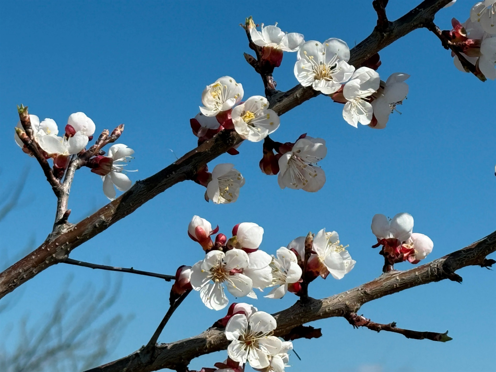 Мальовничі мури старого млина: фотоальбом і відеоекскурс цікавинками Первомайщини
