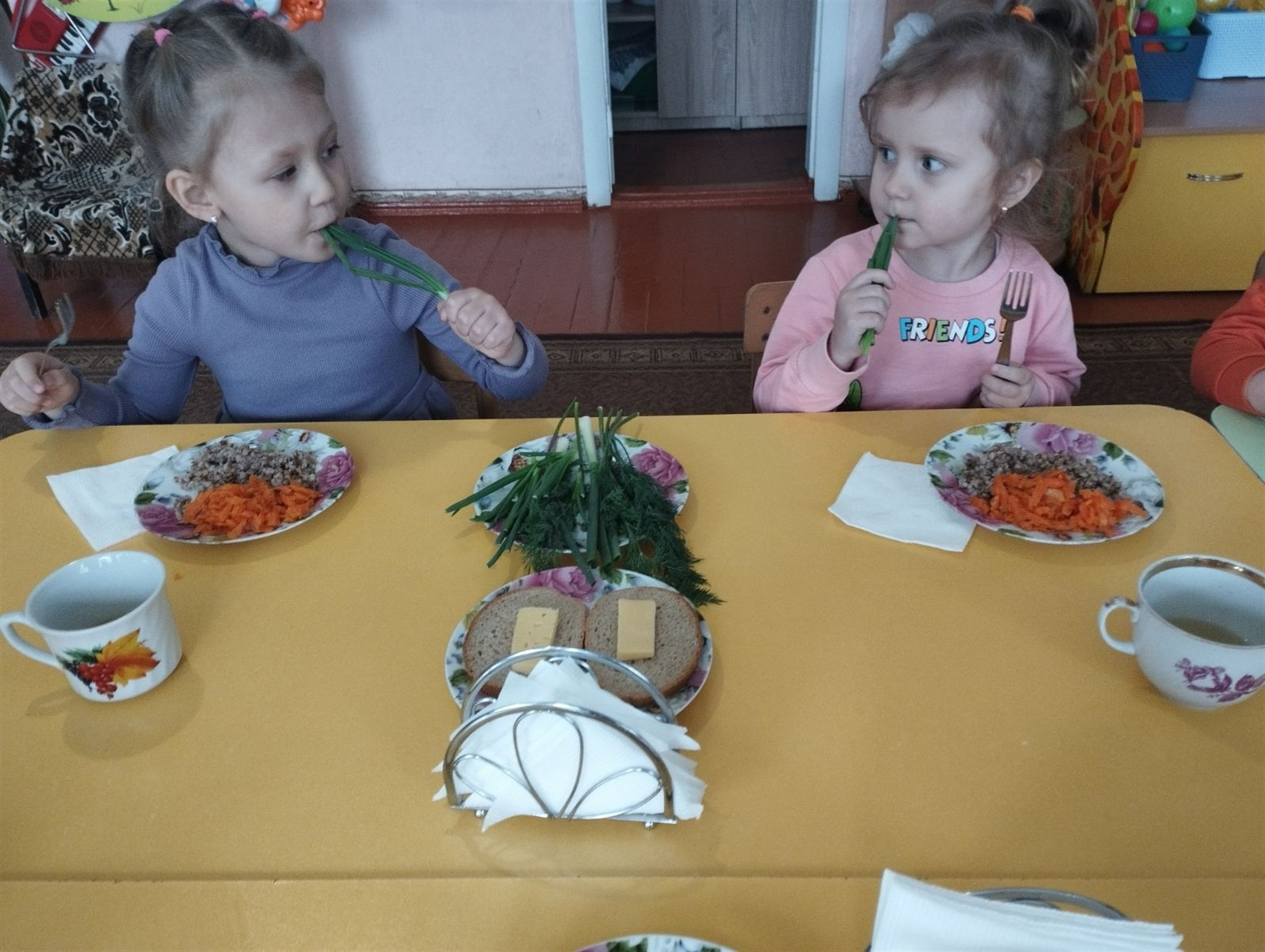 Чудеса на підвіконні: як у первомайському дитсадку «Ластівка» вирощують допитливість і вітаміни