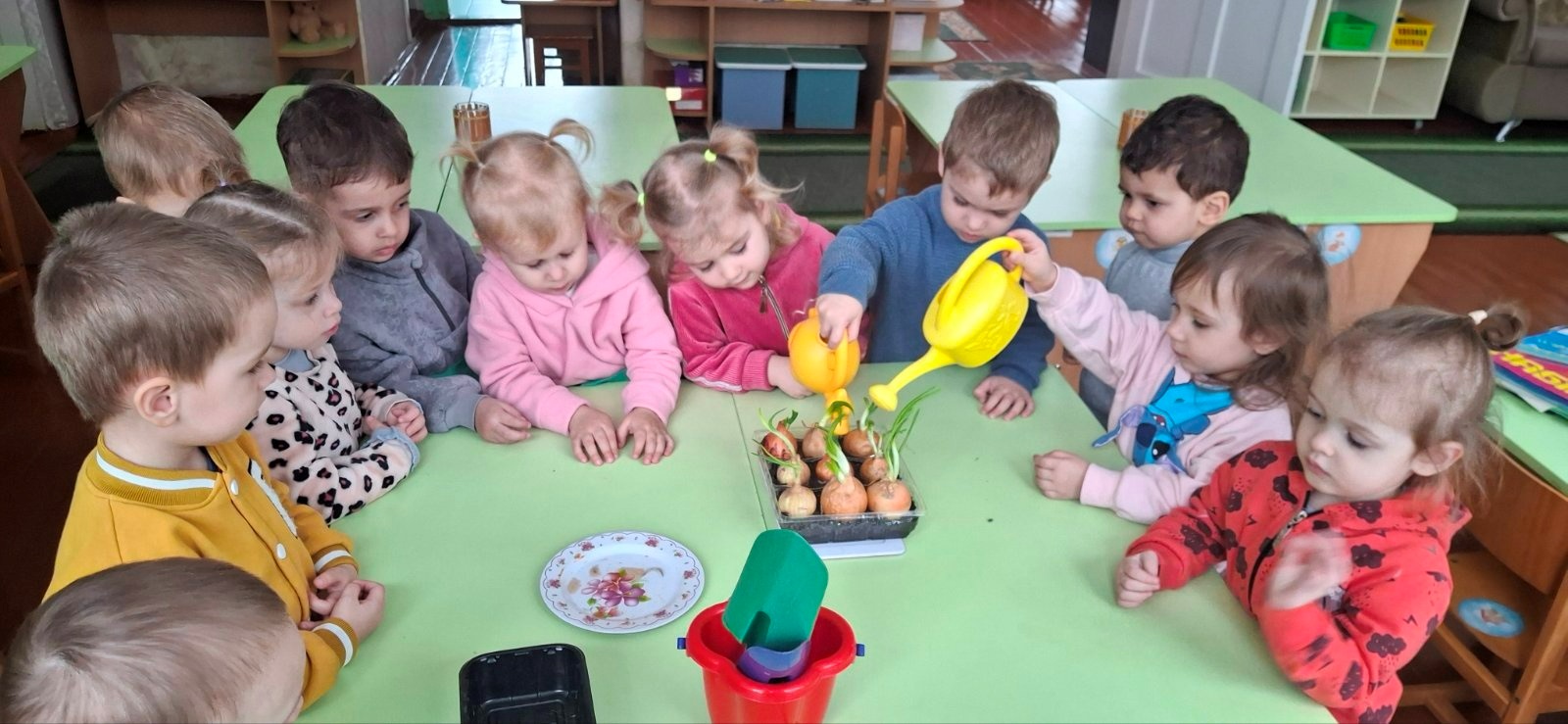 Чудеса на підвіконні: як у первомайському дитсадку «Ластівка» вирощують допитливість і вітаміни