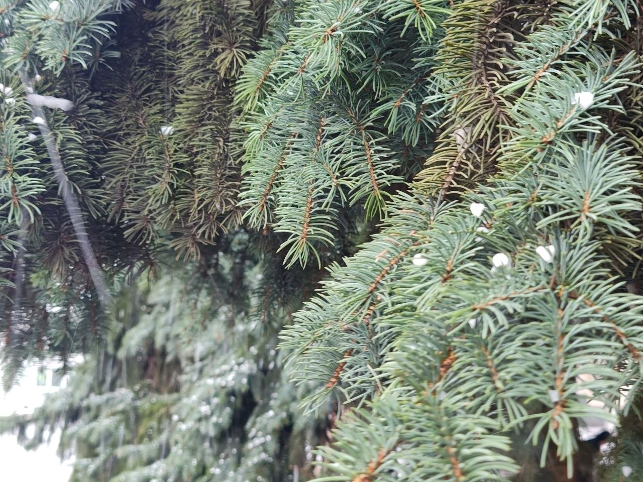 Хмари, град і знову сонце: мінливий квітень у Первомайську. Фотоальбом