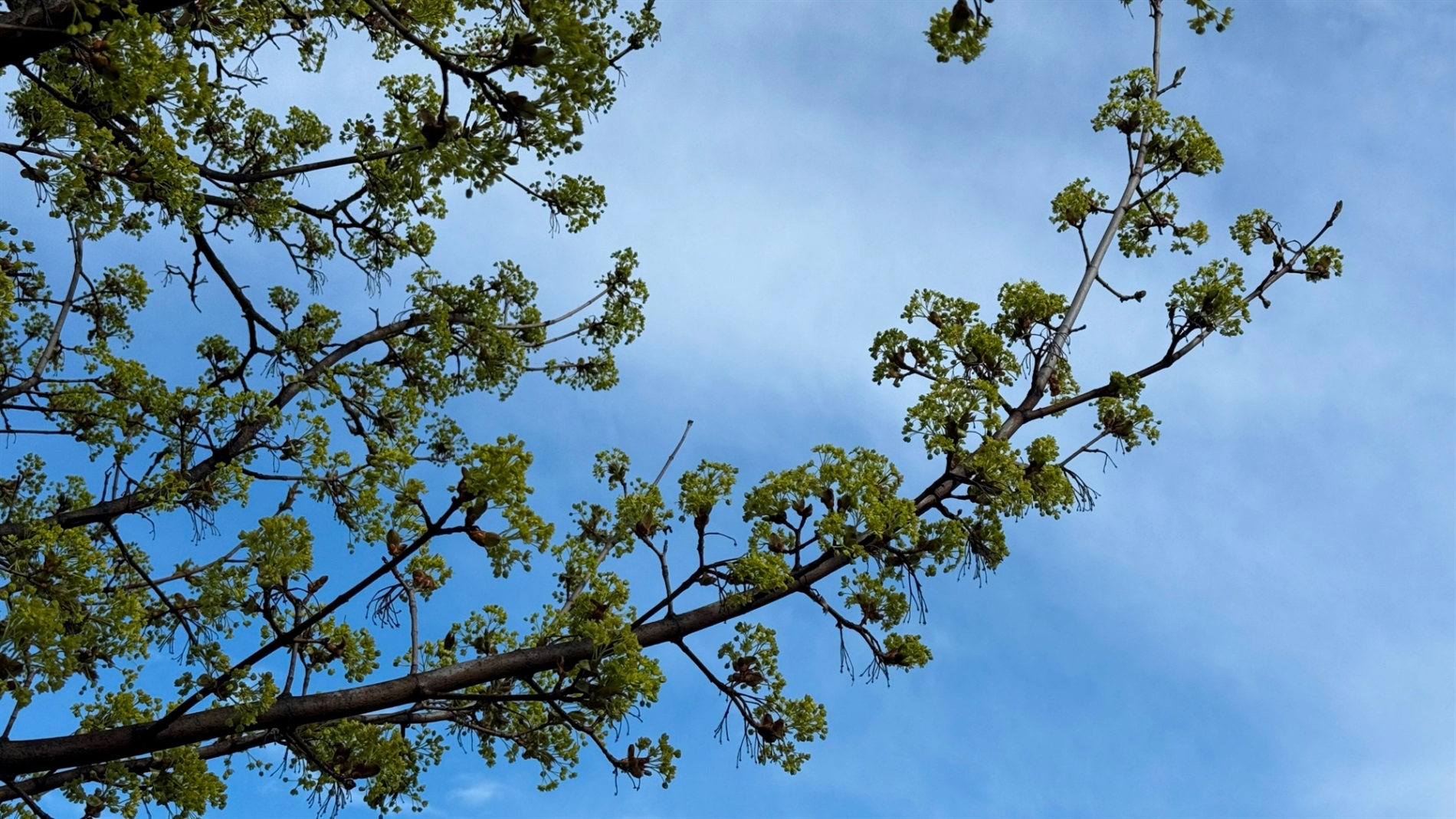 Хмари, град і знову сонце: мінливий квітень у Первомайську. Фотоальбом