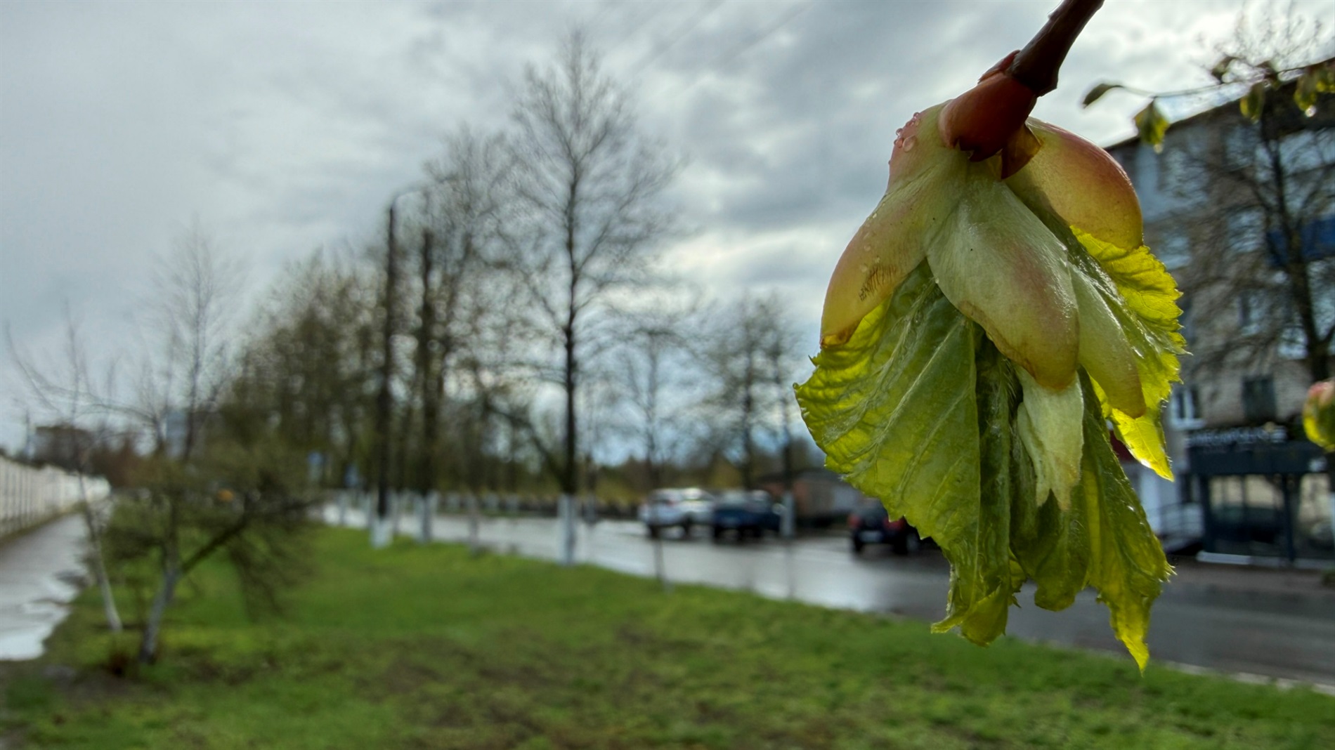 Хмари, град і знову сонце: мінливий квітень у Первомайську. Фотоальбом