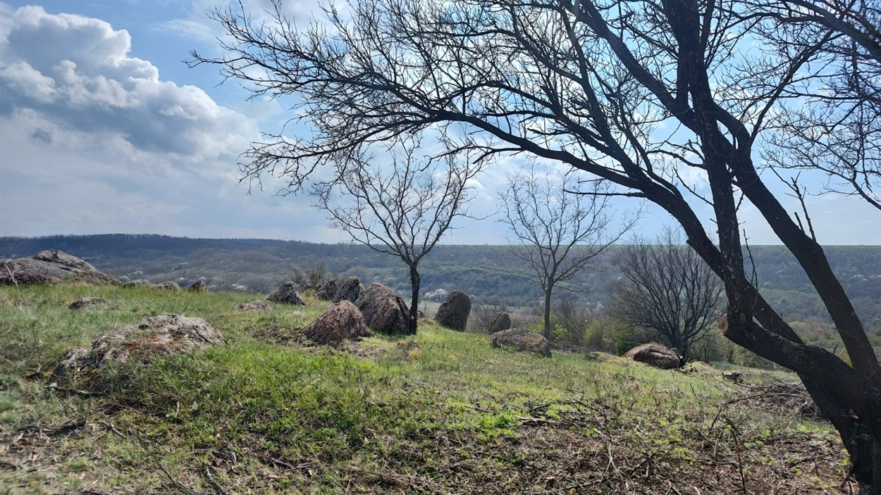 Степ і камені