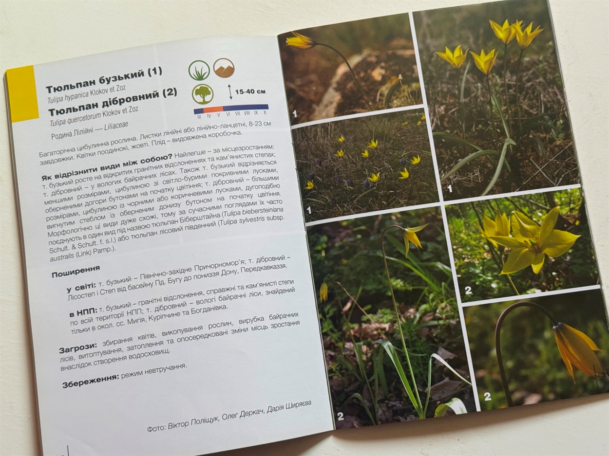 Книга  «Рідкісні рослини Національного природного парку Бузький Гард»