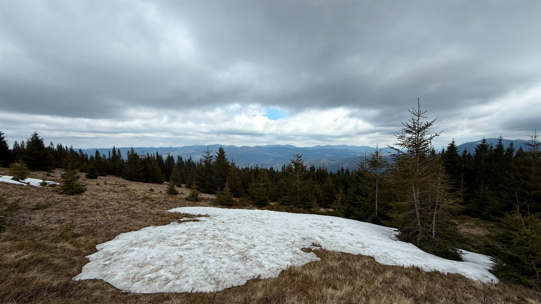 Чи варто йти в похід на Кукул, коли квітнуть крокуси: пригоди журналістки
