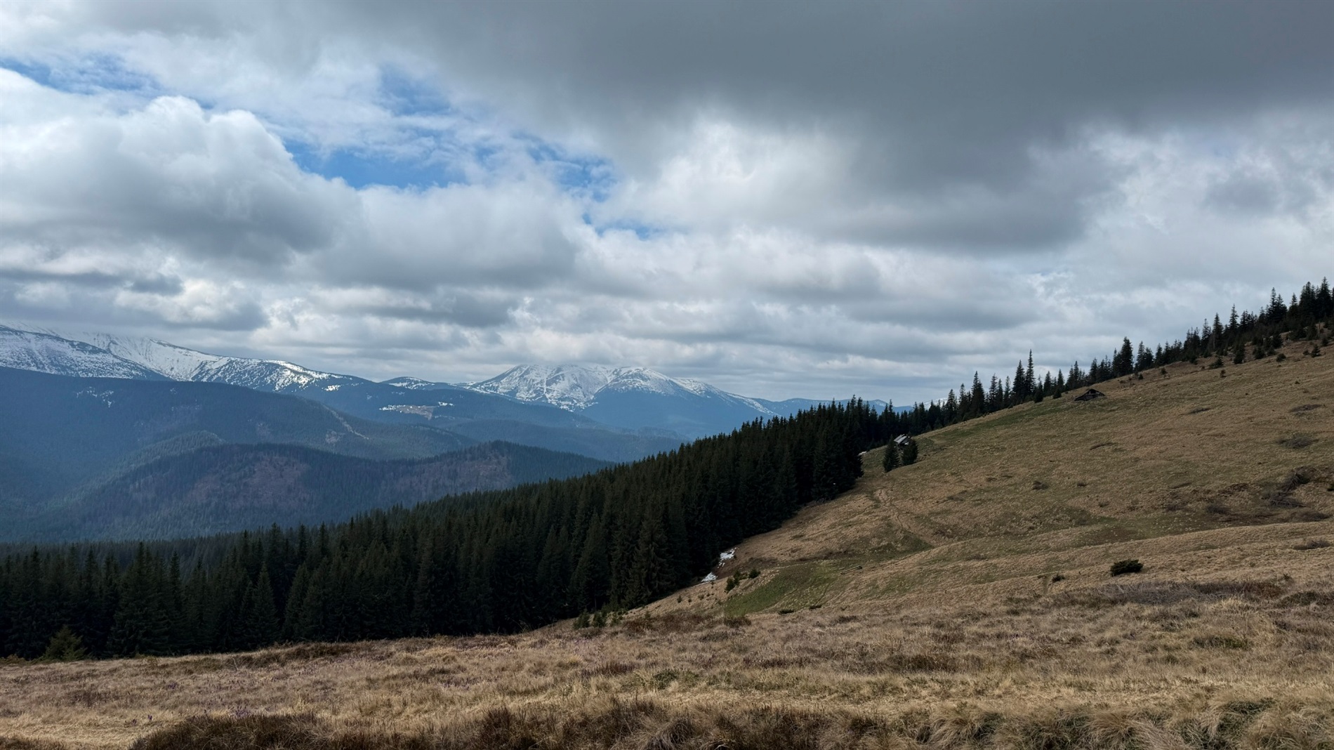 Чи варто йти в похід на Кукул, коли квітнуть крокуси: пригоди журналістки