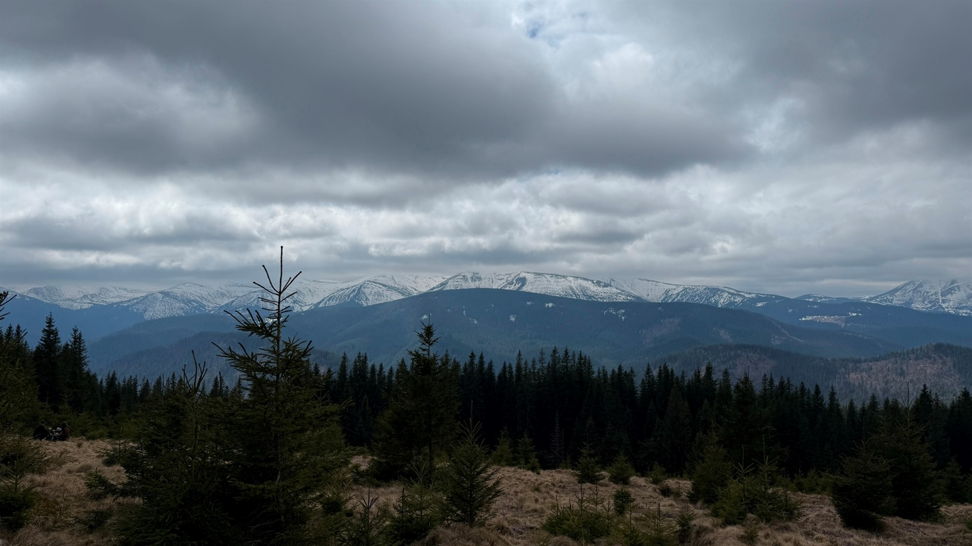 Чи варто йти в похід на Кукул, коли квітнуть крокуси: пригоди журналістки