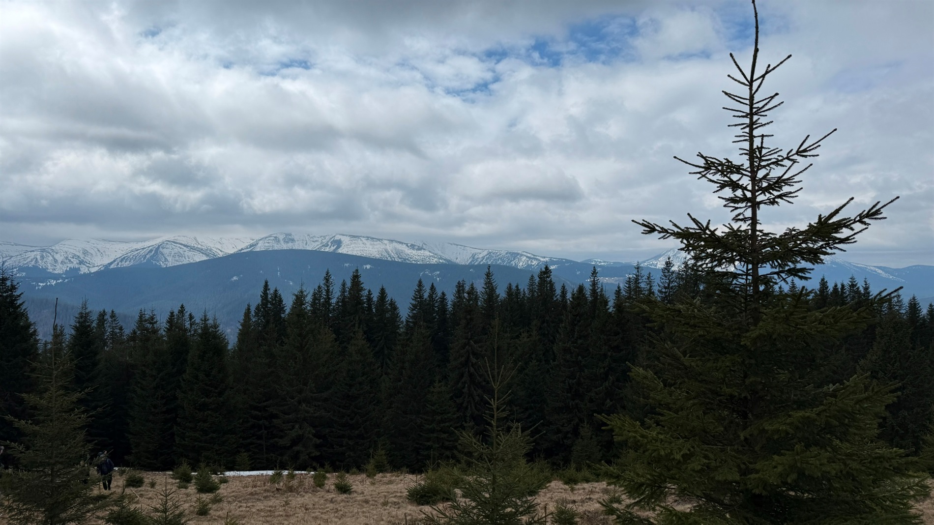 Чи варто йти в похід на Кукул, коли квітнуть крокуси: пригоди журналістки