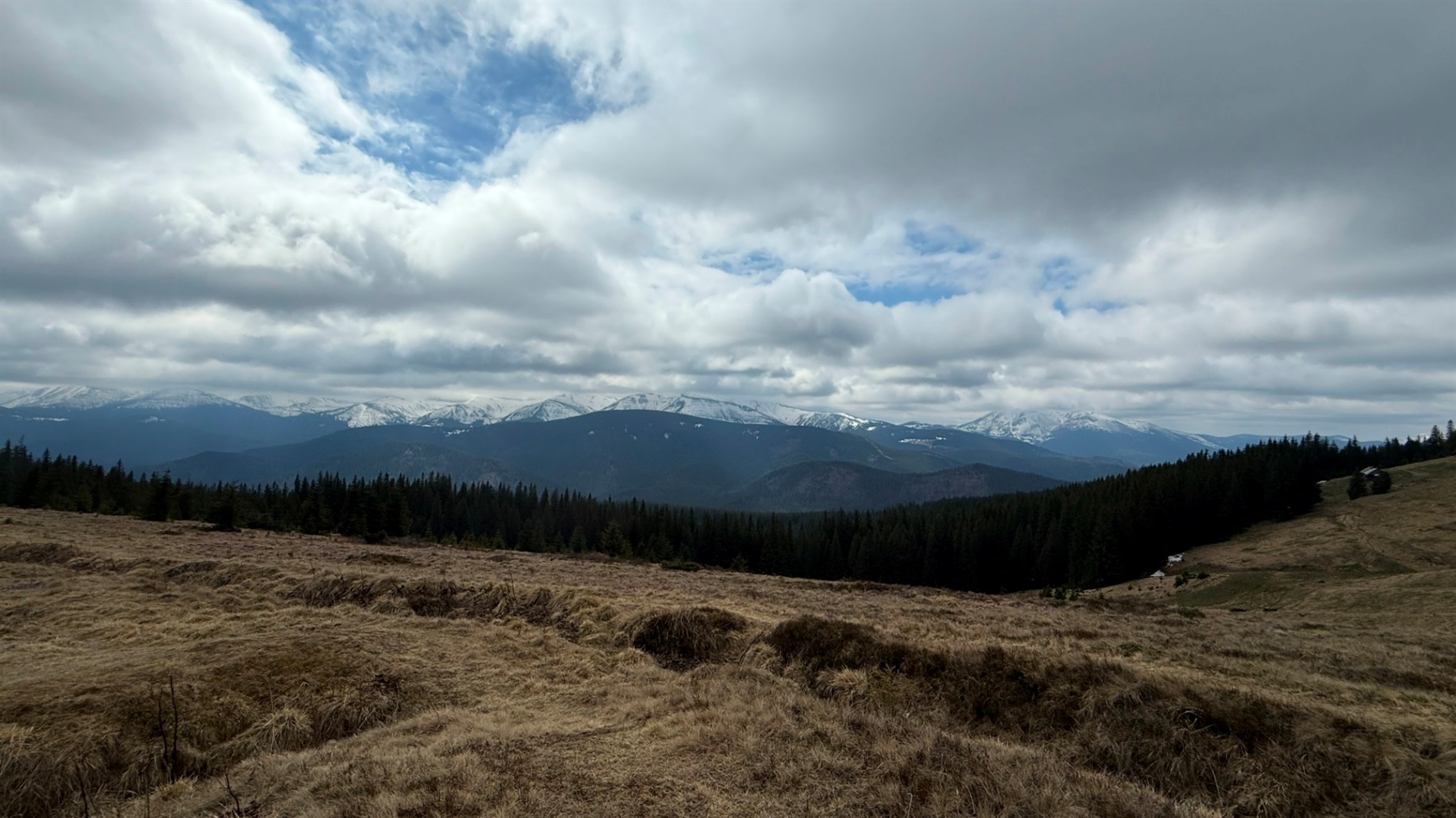 Чи варто йти в похід на Кукул, коли квітнуть крокуси: пригоди журналістки