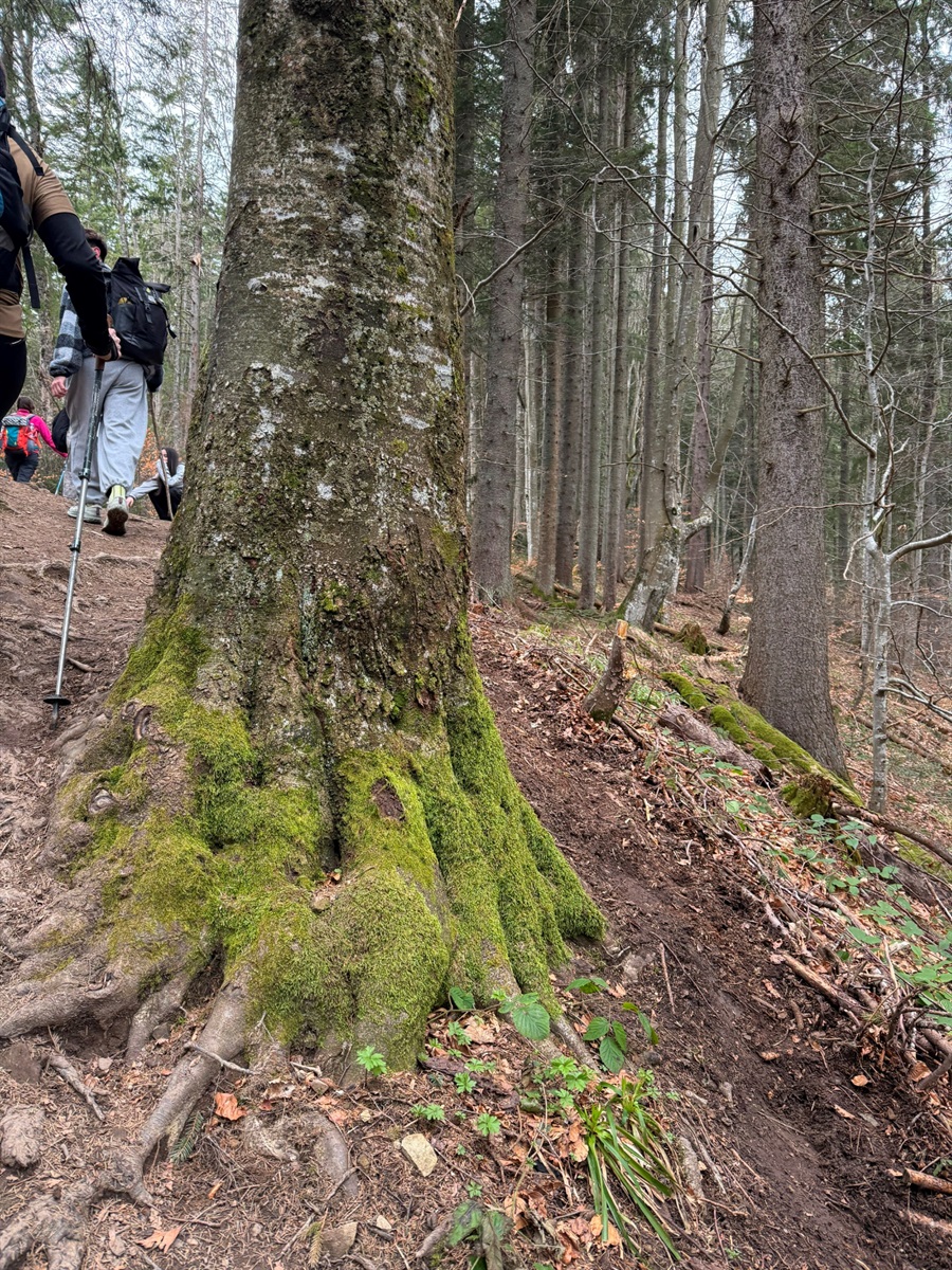 Чи варто йти в похід на Кукул, коли квітнуть крокуси: пригоди журналістки