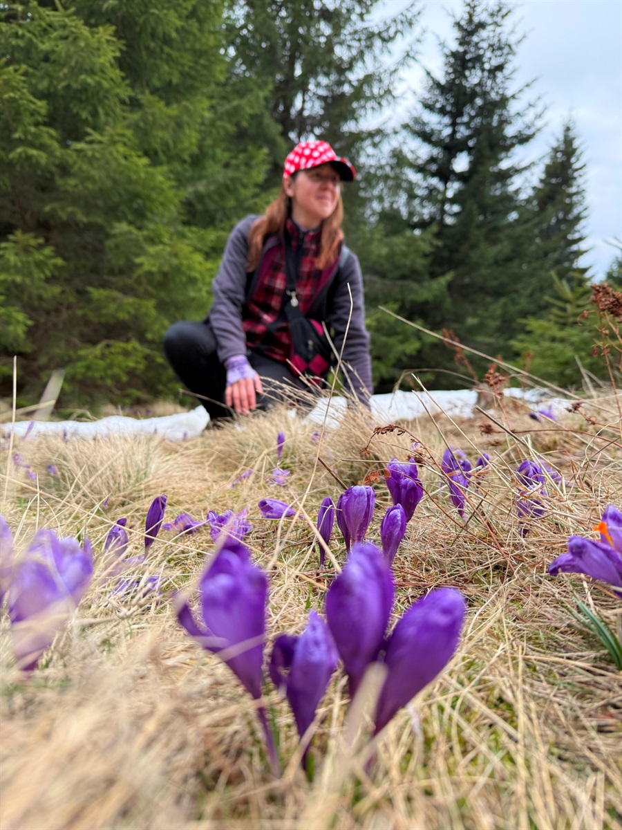 На полонині ще не розтанув сніг