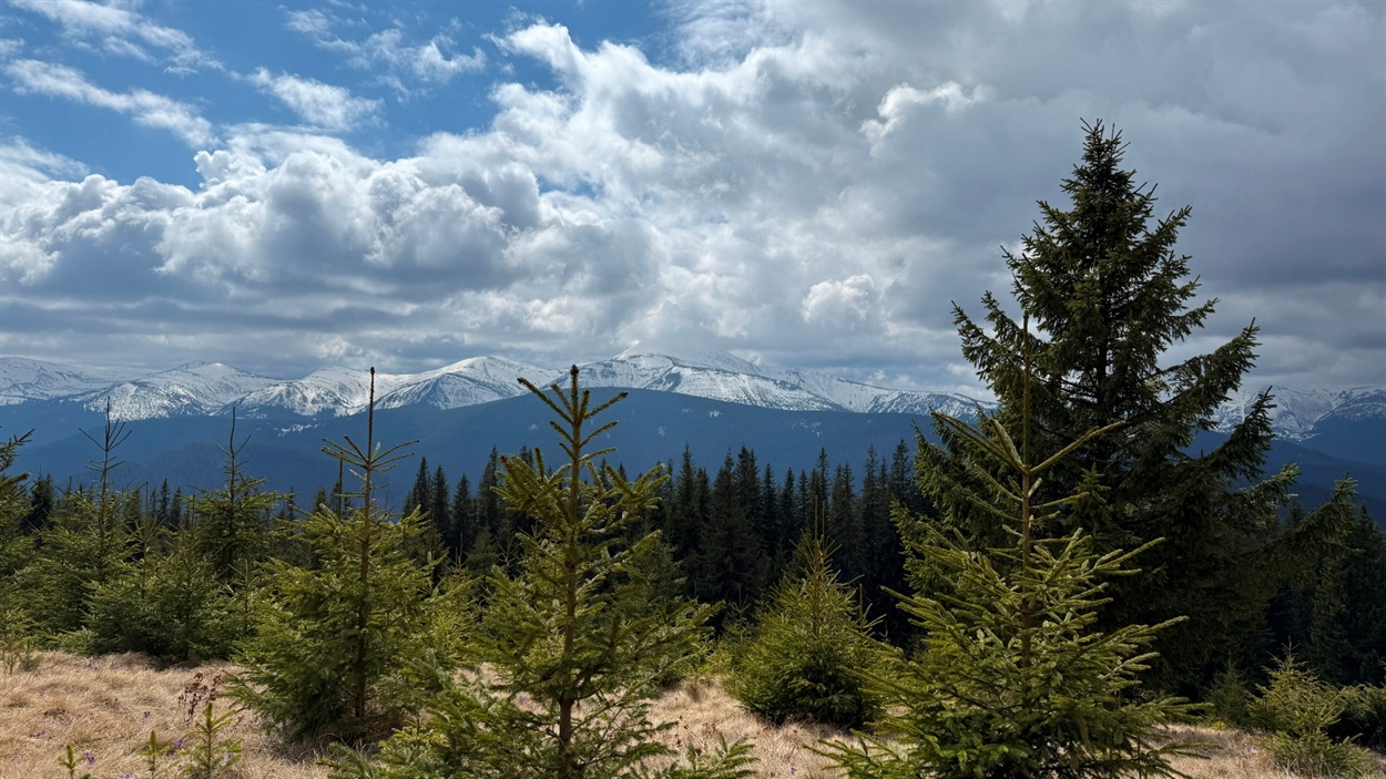 Вид на Чорногірський хребет