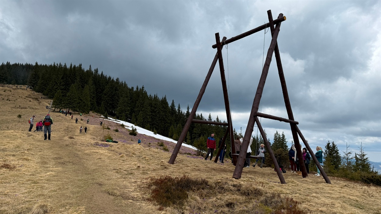 Карпатська гойдалка