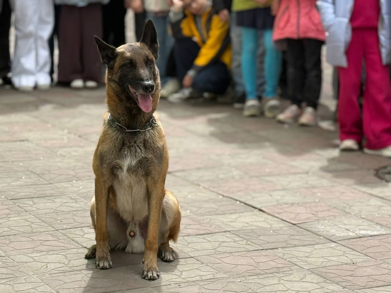 Військові, діти і Оскар: первомайська школа передала кошти на потреби Сил оборони. Фоторепортаж