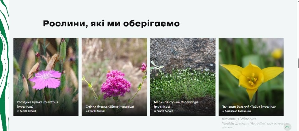 Де безпечно відпочити на природі в Україні та на Миколаївщині зокрема: зорієнтує інтерактивна мапа