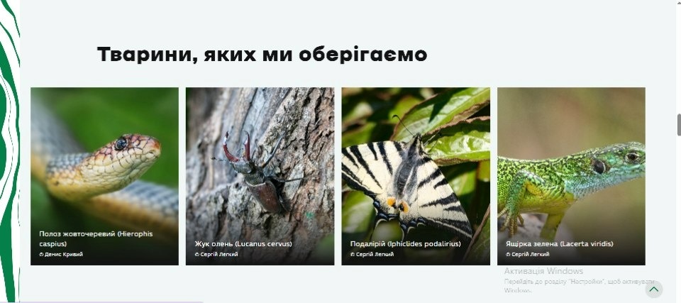 Де безпечно відпочити на природі в Україні та на Миколаївщині зокрема: зорієнтує інтерактивна мапа