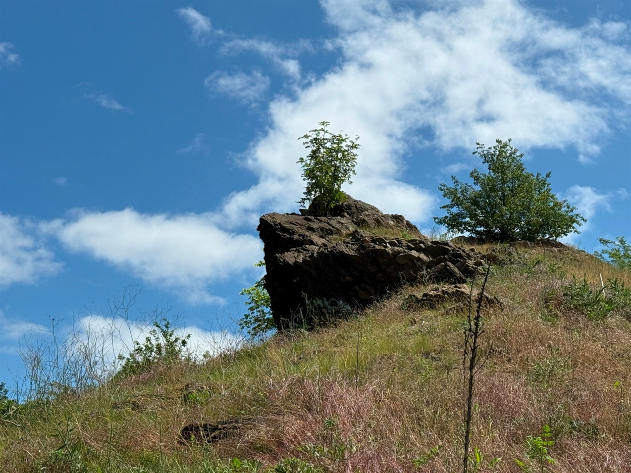 Краєвиди 