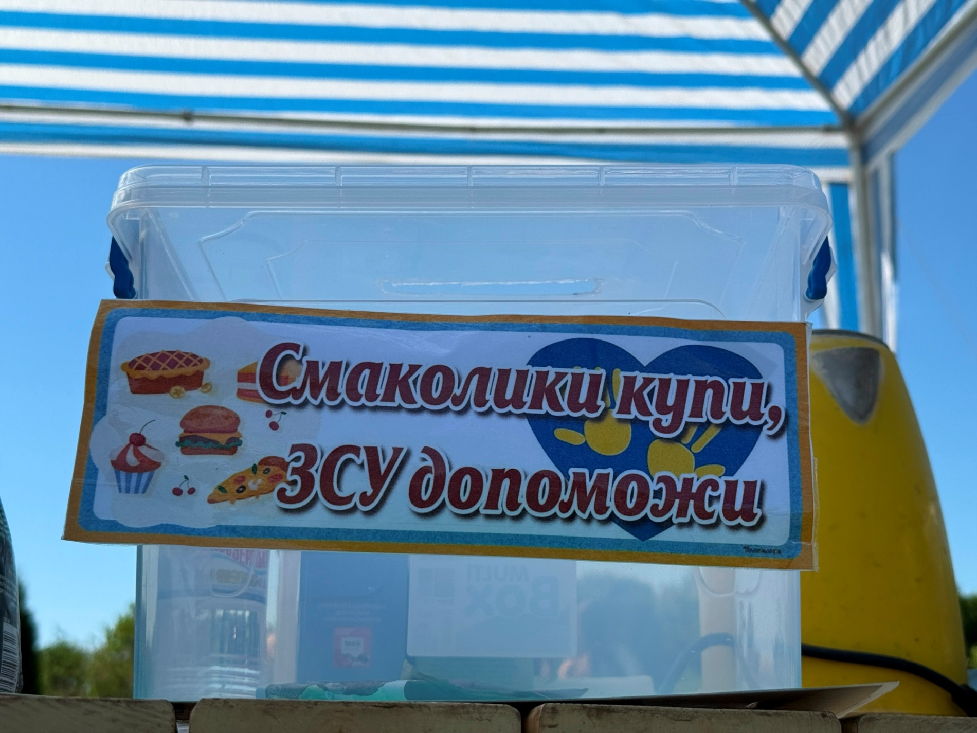 Каністерапія та іпотерапія, майстер-класи та збір для ЗСУ: у Первомайську відбулося благодійне свято