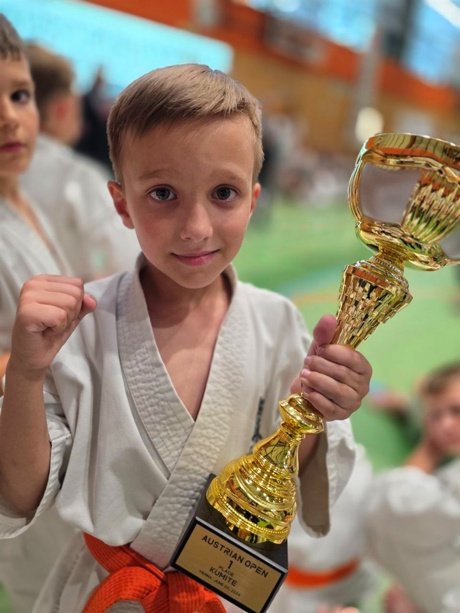 Чотири золота та бронза: каратисти з Миколаївщини успішно виступили на Austrian Open 2026