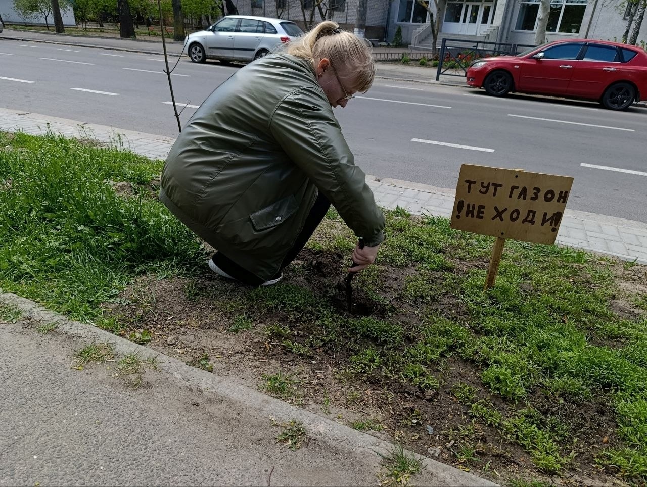 Трава проти спеки: досвід миколаївських школярів, який може знадобитися Первомайську