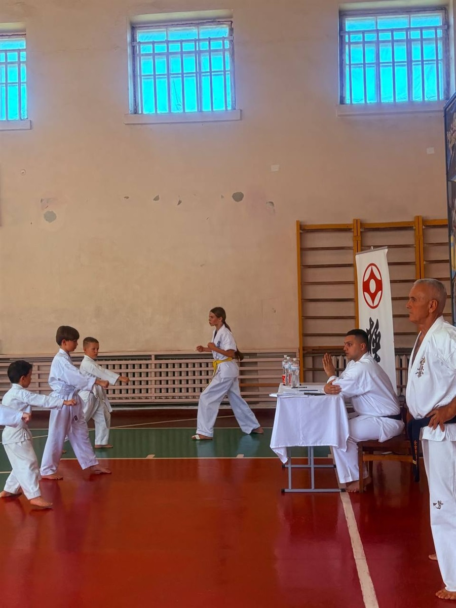 Нові пояси, нові техніки й оцінка від легенди карате: у Первомайську провели масштабний семінар