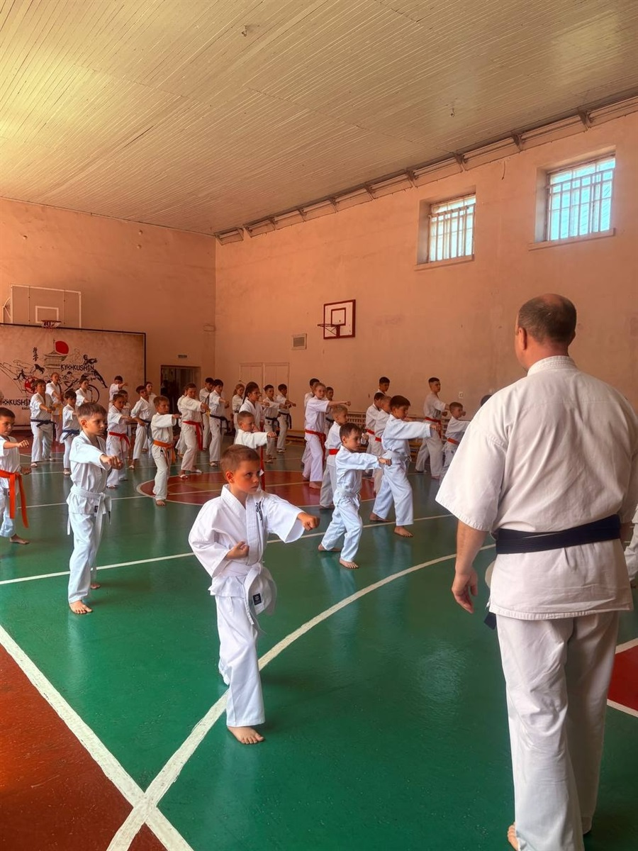 Нові пояси, нові техніки й оцінка від легенди карате: у Первомайську провели масштабний семінар