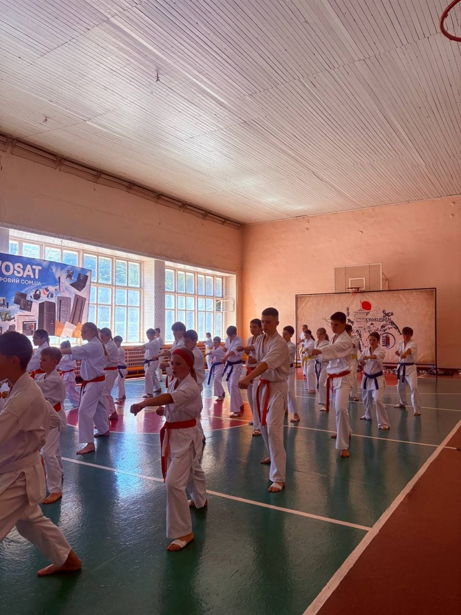 Нові пояси, нові техніки й оцінка від легенди карате: у Первомайську провели масштабний семінар