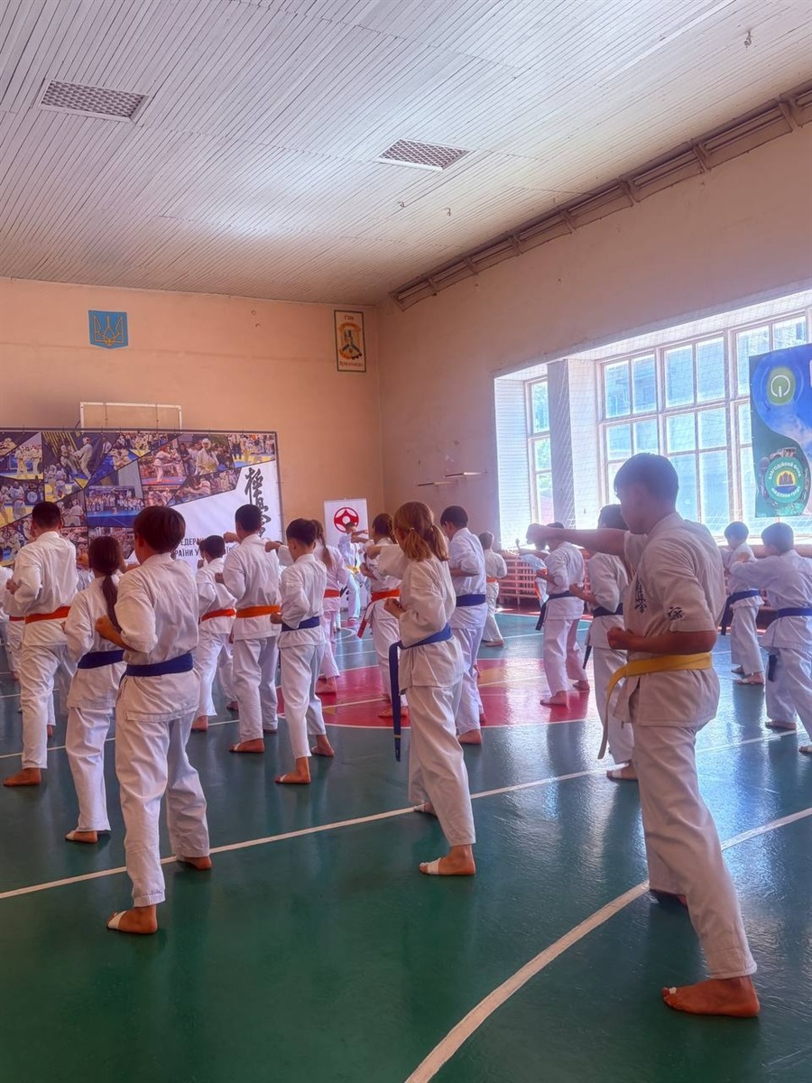 Нові пояси, нові техніки й оцінка від легенди карате: у Первомайську провели масштабний семінар