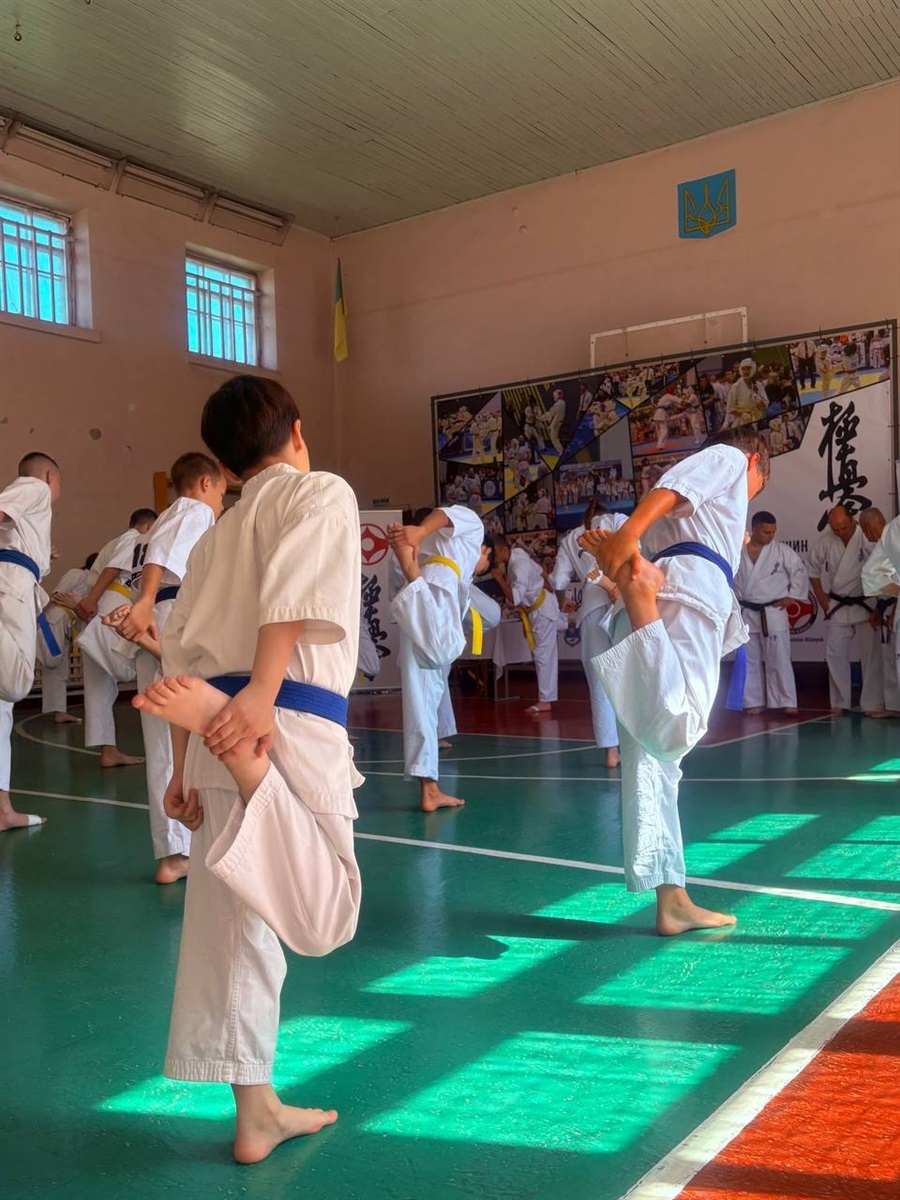 Нові пояси, нові техніки й оцінка від легенди карате: у Первомайську провели масштабний семінар