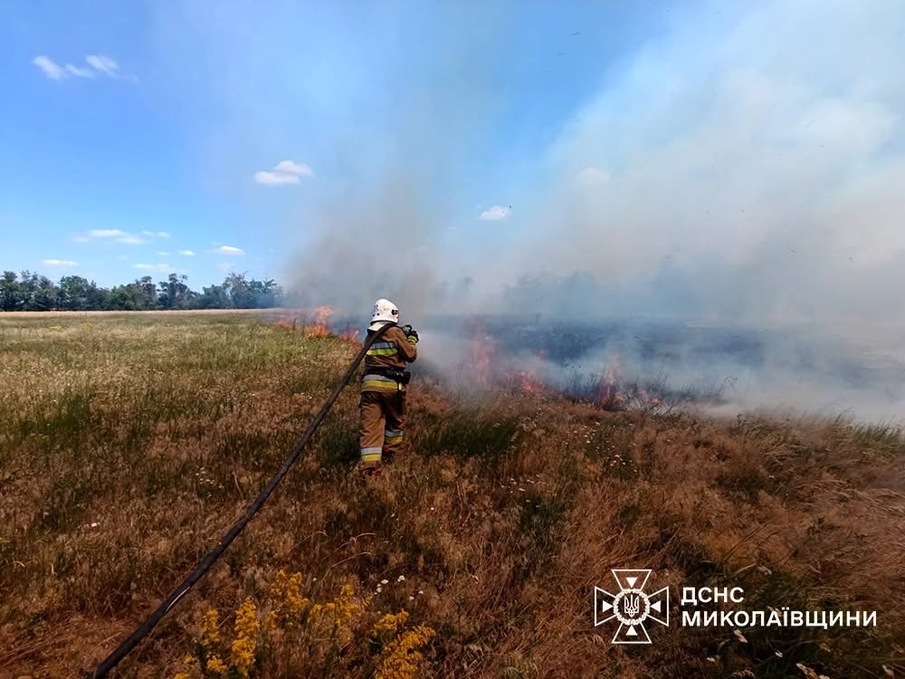 Вогняна доба на Миколаївщині: вигоріло понад 200 гектарів екосистем та полів, є загиблий через БПЛА