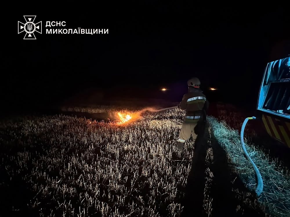 Вогняна доба на Миколаївщині: вигоріло понад 200 гектарів екосистем та полів, є загиблий через БПЛА