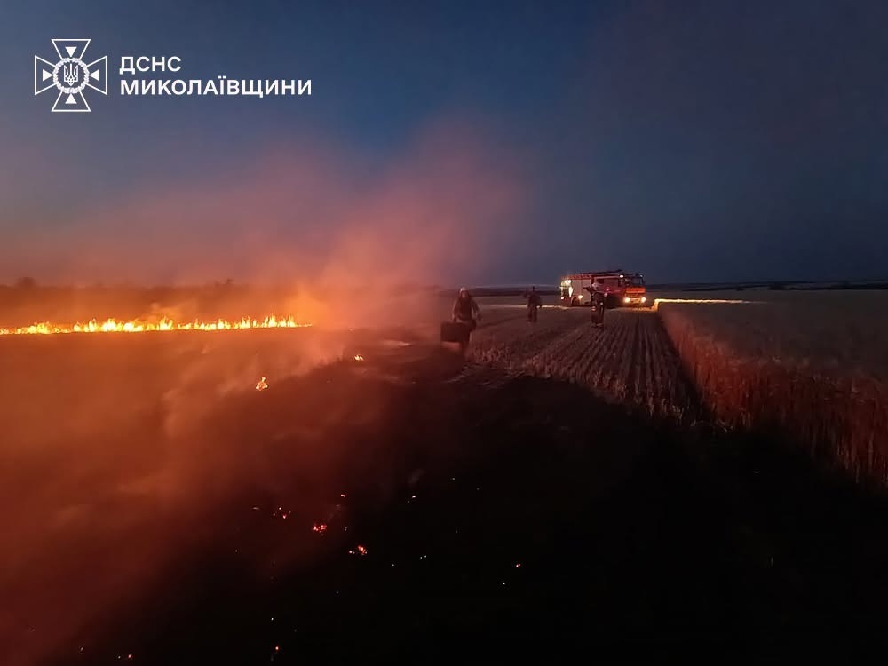 Вогняна доба на Миколаївщині: вигоріло понад 200 гектарів екосистем та полів, є загиблий через БПЛА