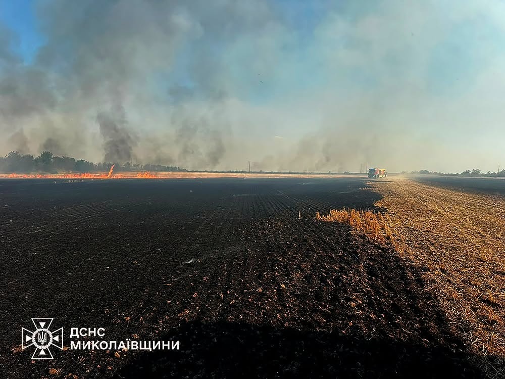 Вогняна доба на Миколаївщині: вигоріло понад 200 гектарів екосистем та полів, є загиблий через БПЛА