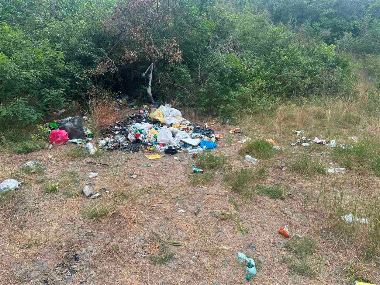 Після відпочивальників — гори сміття: мешканці Грушівки закликають до змін