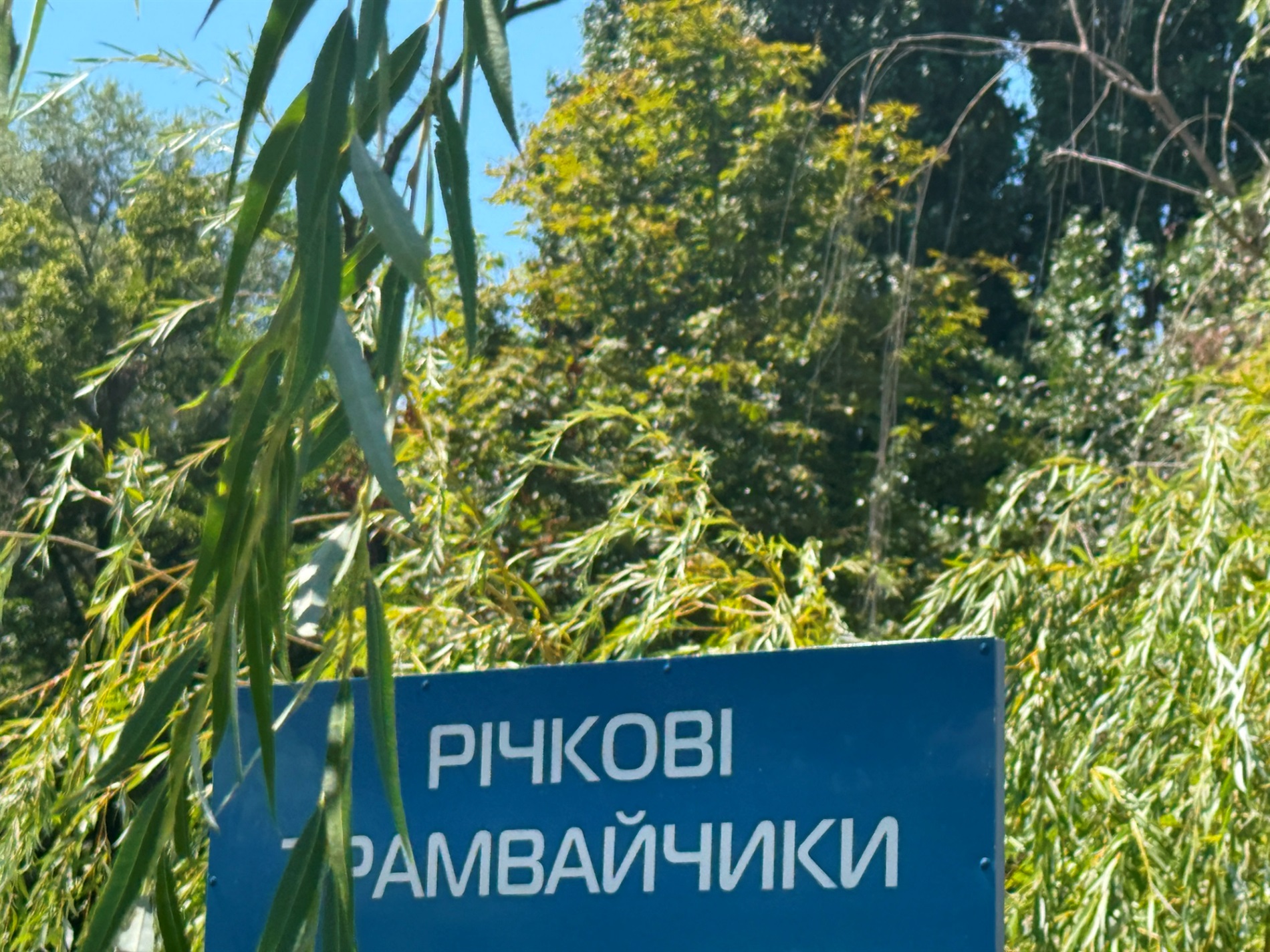 Липневе Місто на хвилі: фотоподорож до Миколаєва