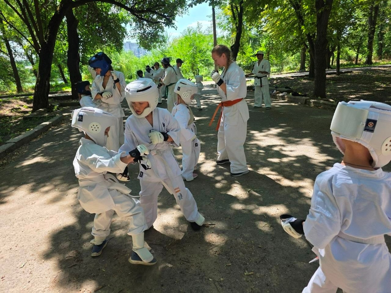 Близько 30 спортсменів зібрав літній табір Федерації кіокушин-карате ІКО-1 у Первомайську