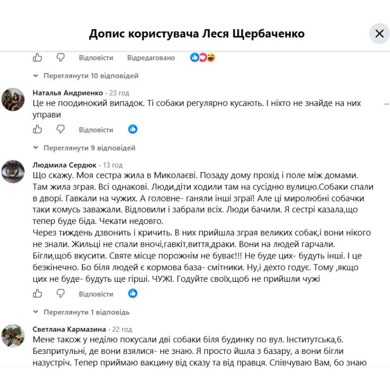 Покуси собак і пошук вакцини: у Первомайську знову загострилася проблема безпритульних тварин