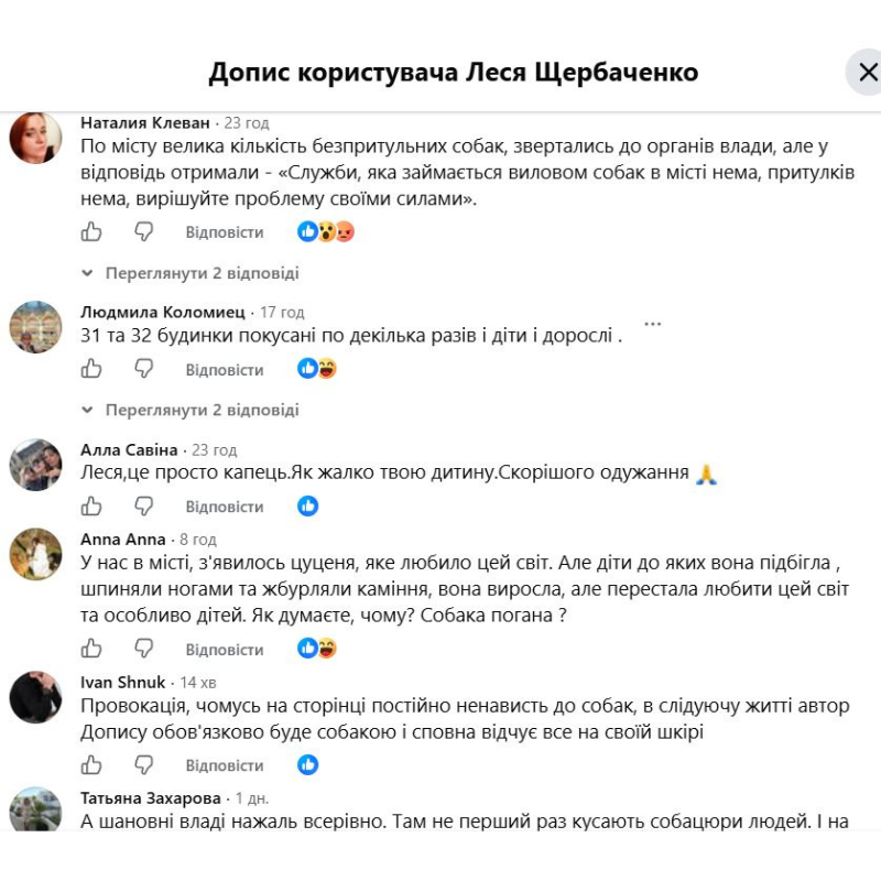 Покуси собак і пошук вакцини: у Первомайську знову загострилася проблема безпритульних тварин