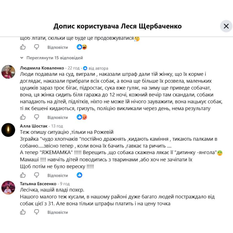 Покуси собак і пошук вакцини: у Первомайську знову загострилася проблема безпритульних тварин
