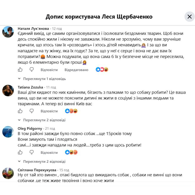 Покуси собак і пошук вакцини: у Первомайську знову загострилася проблема безпритульних тварин