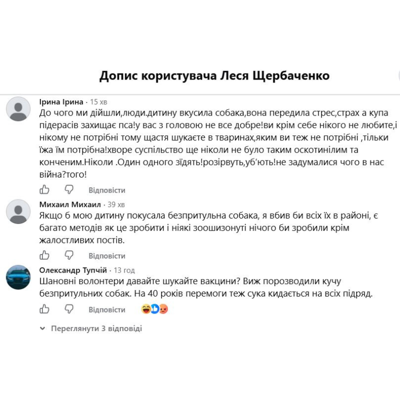 Покуси собак і пошук вакцини: у Первомайську знову загострилася проблема безпритульних тварин