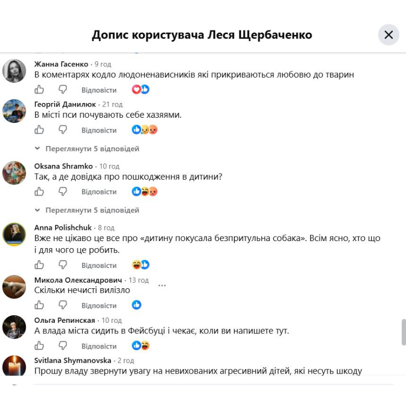 Покуси собак і пошук вакцини: у Первомайську знову загострилася проблема безпритульних тварин