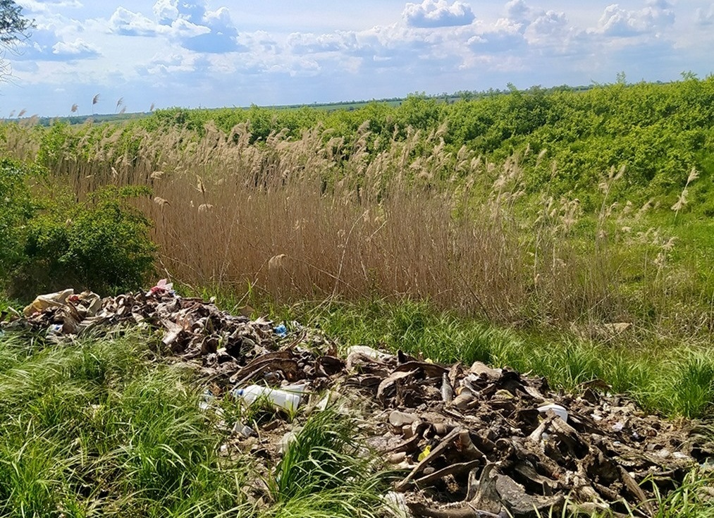 Забруднення землі на Первомайщині: силовики відреагували на незаконні скотомогильники