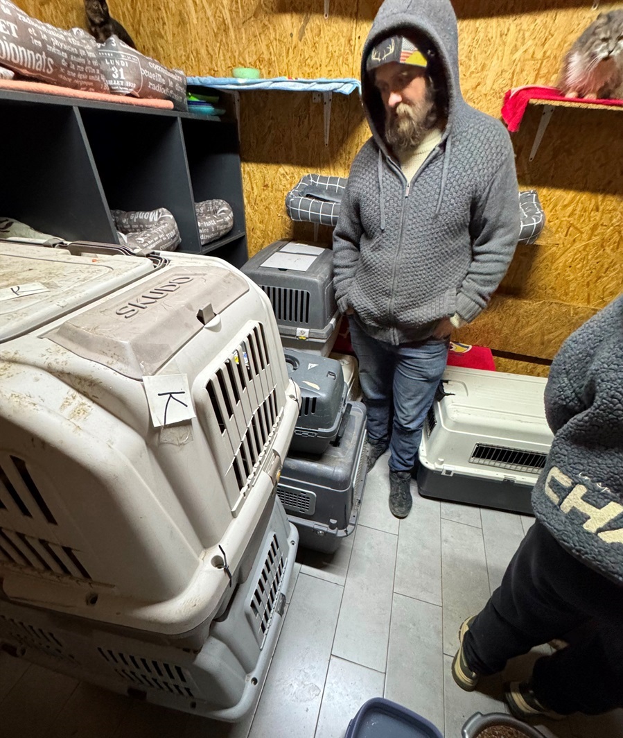 Волонтери привезли покинутих тварин з Добропілля та Краматорська